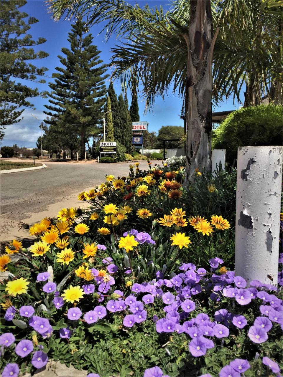Ceduna Motor Inn Exterior photo